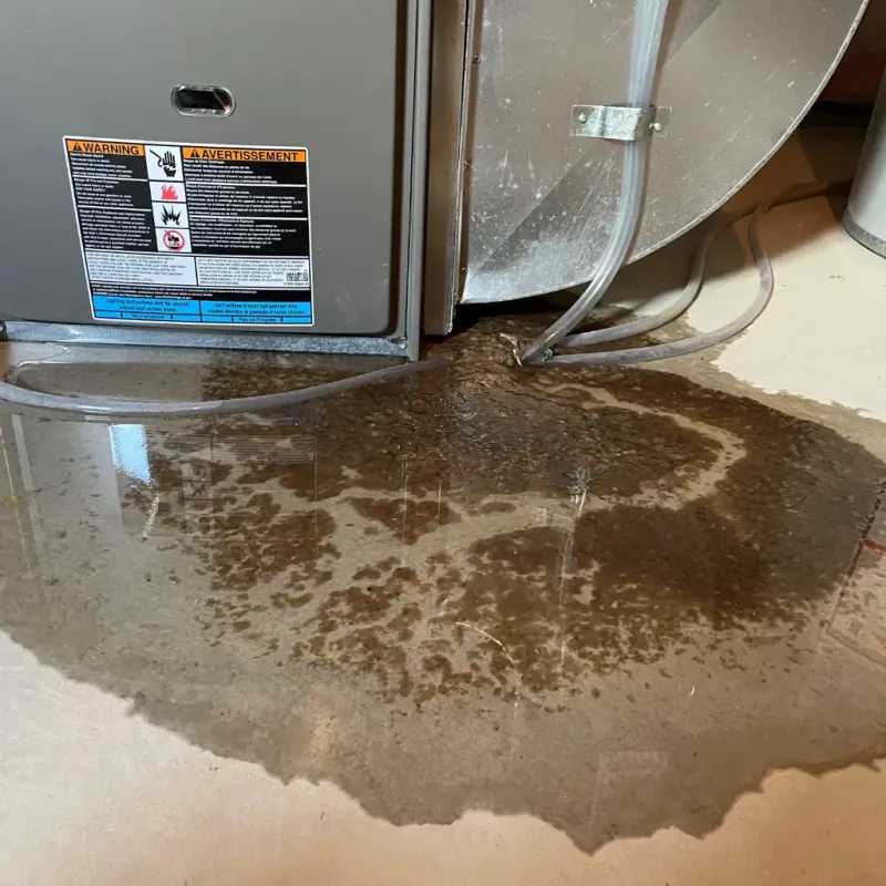 Appliance Leak Cleanup in Maple Shade, NJ